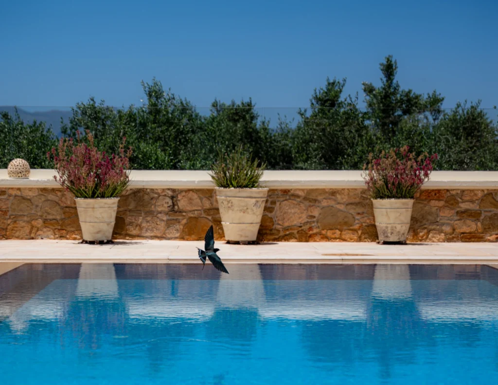 P1129213 Book Your Stay at Giovanta Villa